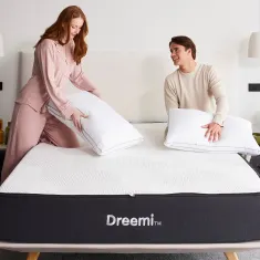 Dreemi  Foam Core Gusseted Pillow
